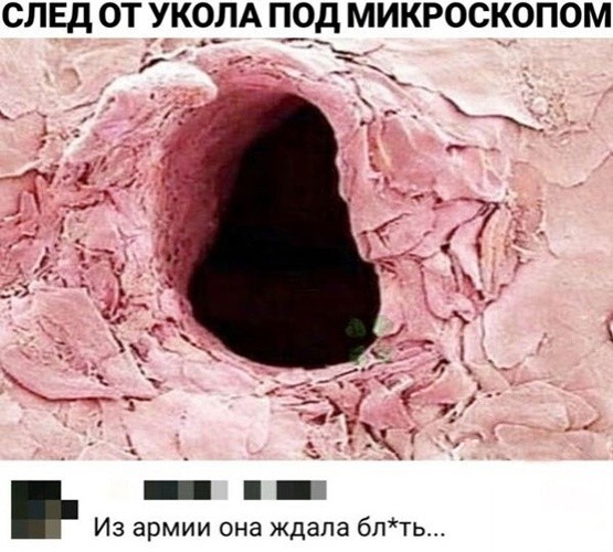 Большая тарелка улыбатора