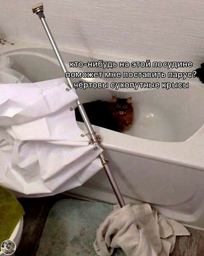Большая тарелка улыбатора