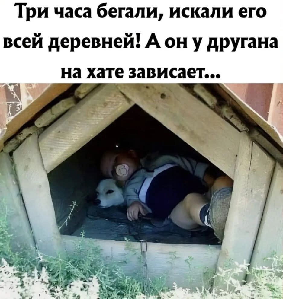 Большая тарелка улыбатора