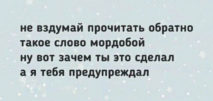 Большая тарелка улыбатора