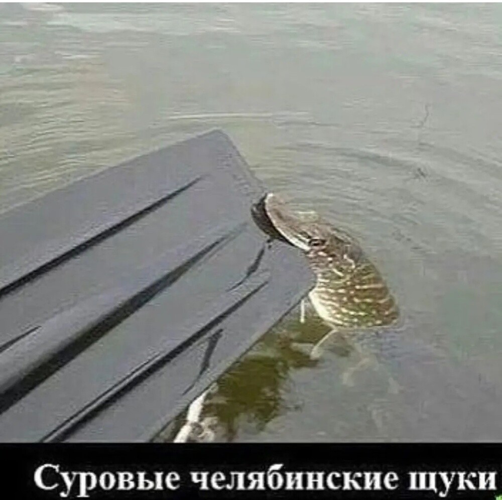 Большая тарелка улыбатора