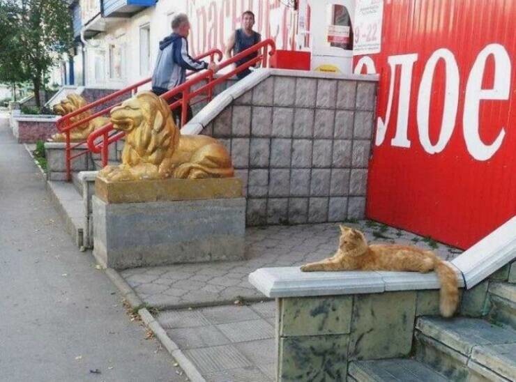 Фото суббота