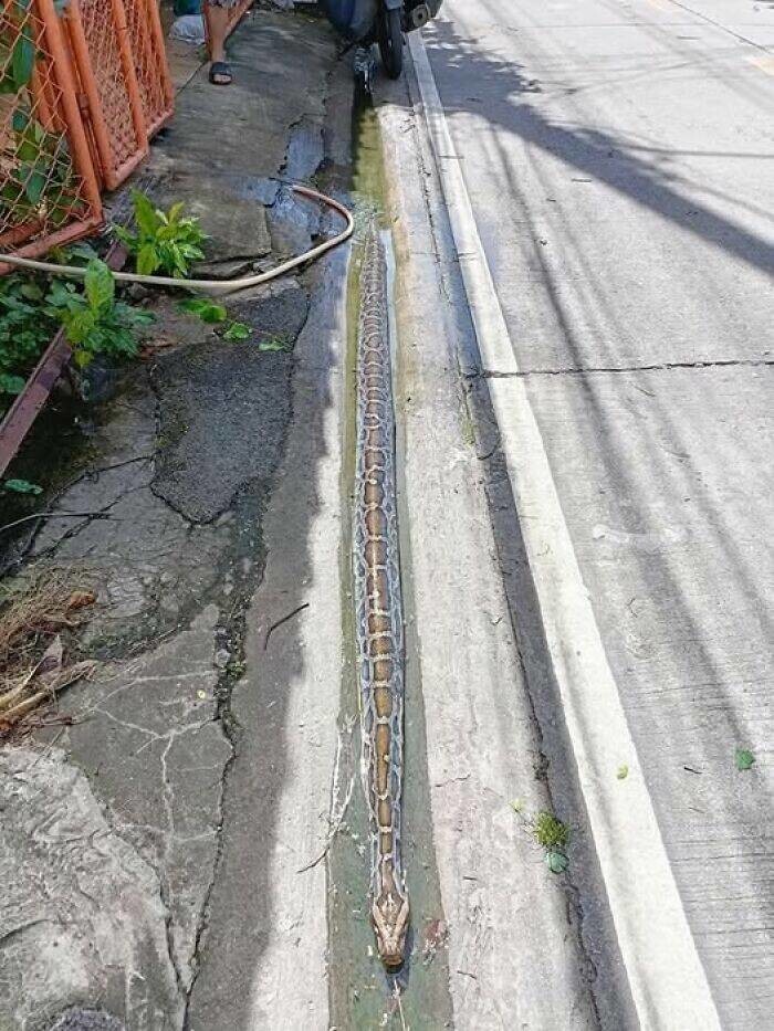 Фото суббота