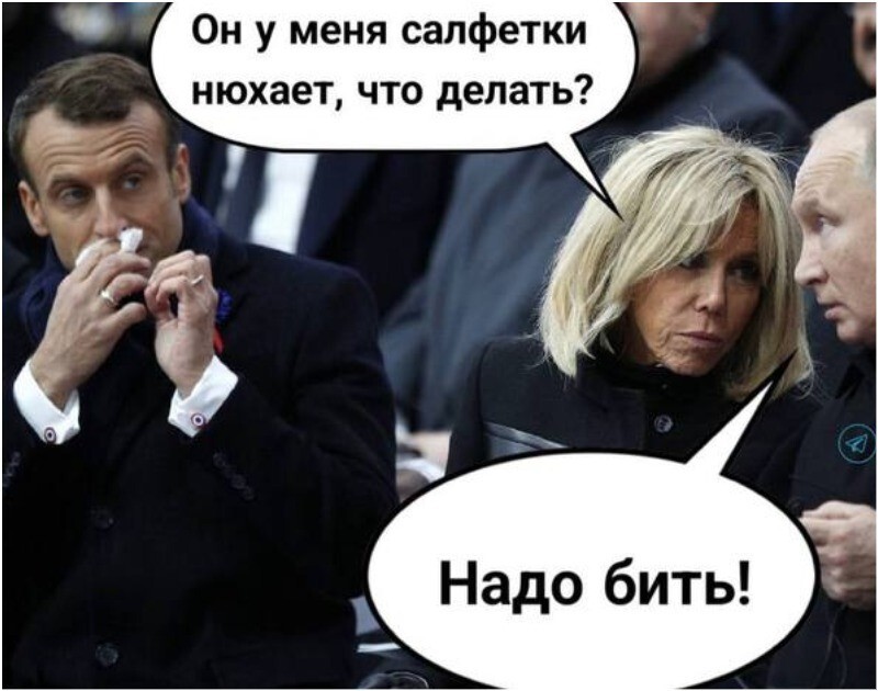 Трамп дал дельный совет избитому женой Макрону