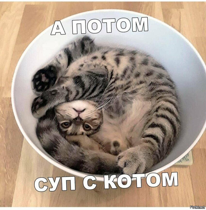 Солянка