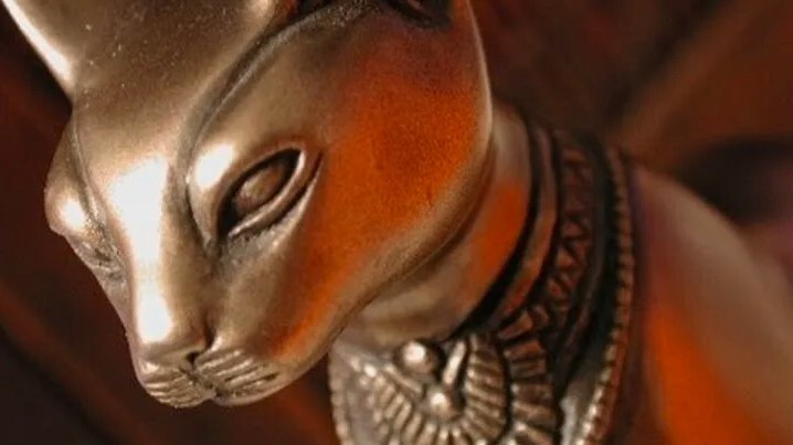Кошки священные существа