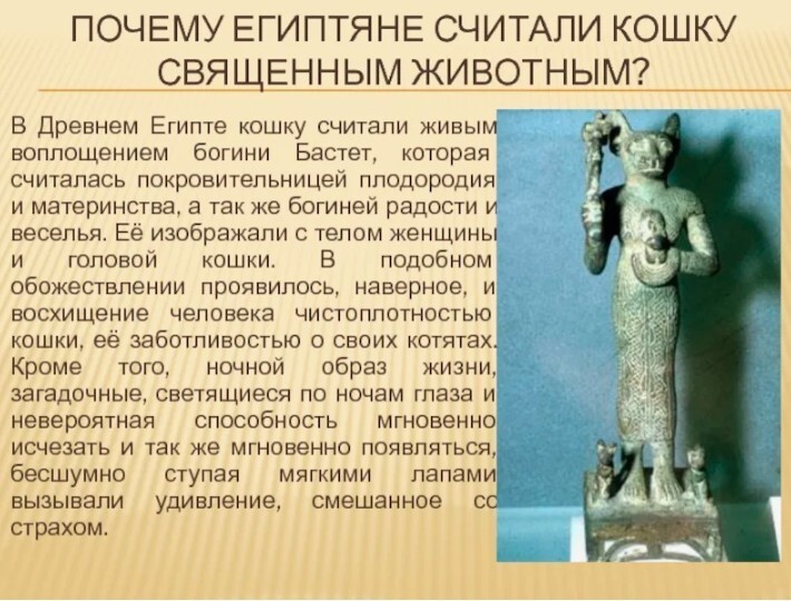 Кошки священные существа