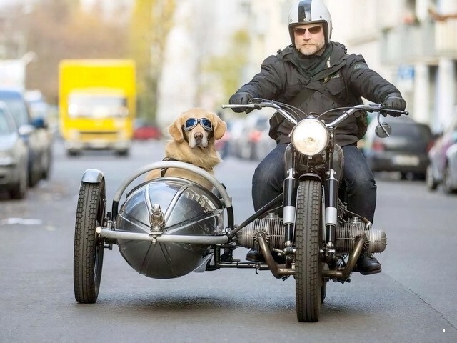 МотоВсячина