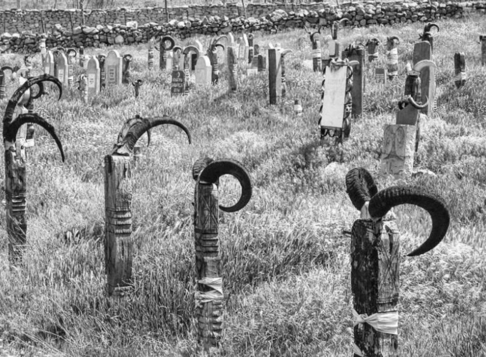 Архивные фотографии, как прекрасный наглядный инструмент знакомства с общим прошлым