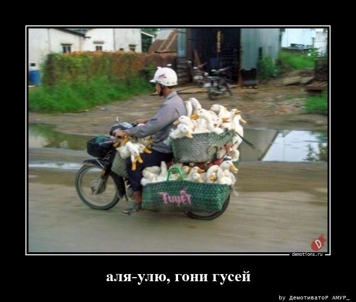 Демотиваторы для настроения