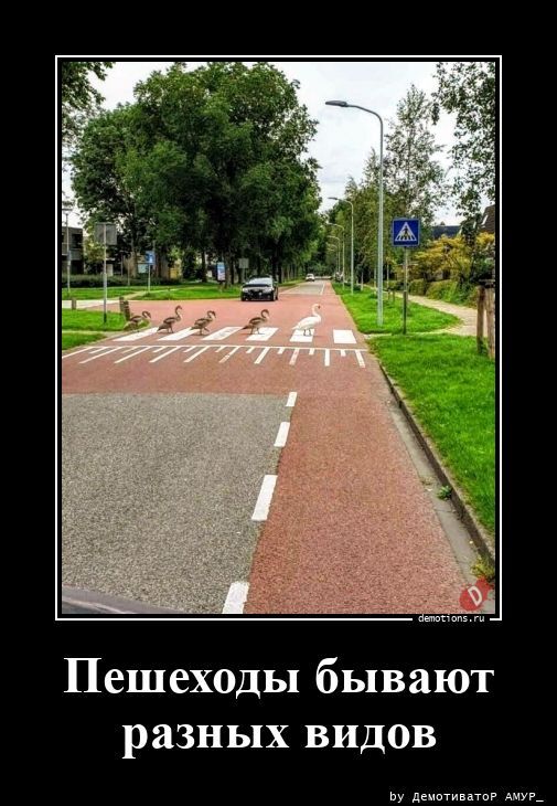 Демотиваторы для настроения