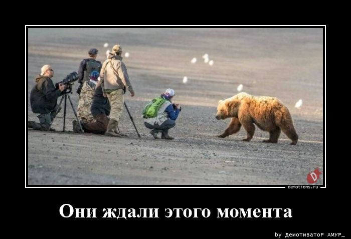 Демотиваторы для настроения