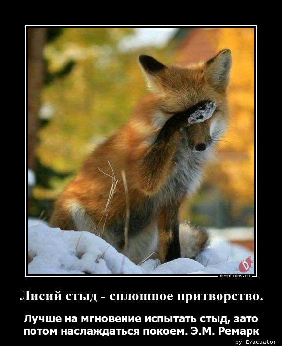Демотиваторы для настроения