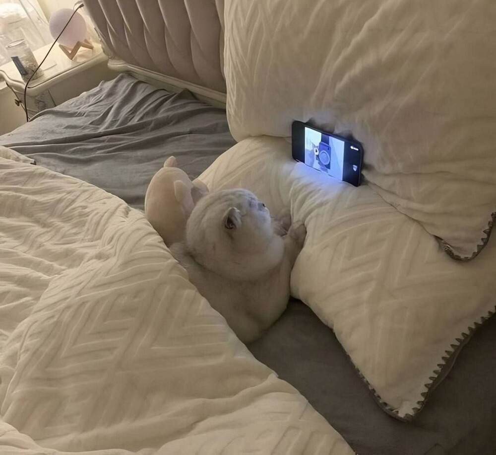 На общую тему 