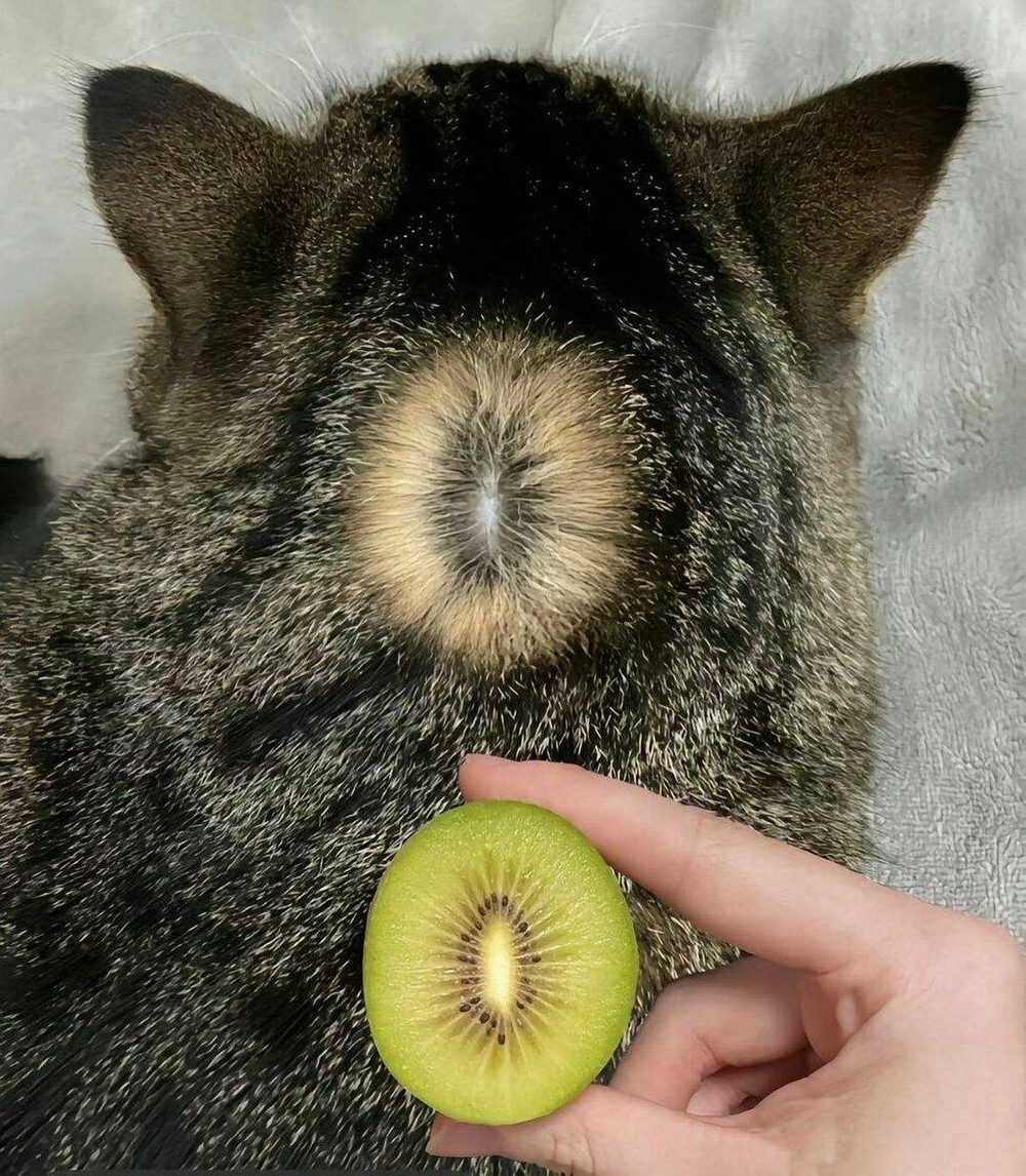 На общую тему 