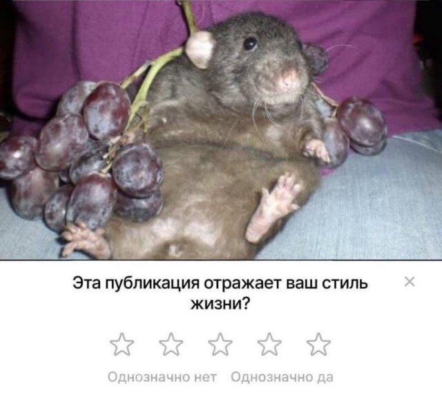 Скрины из соцсетей