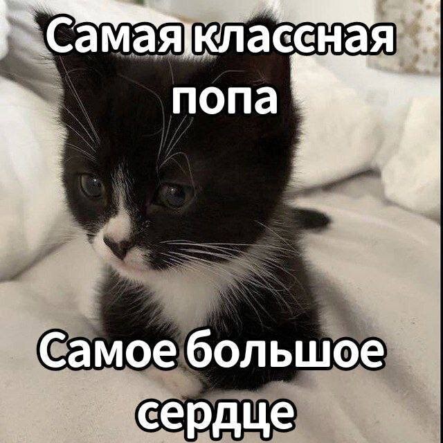 Скрины из соцсетей