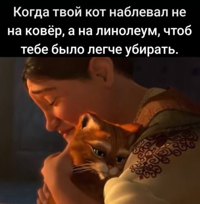Скрины из соцсетей