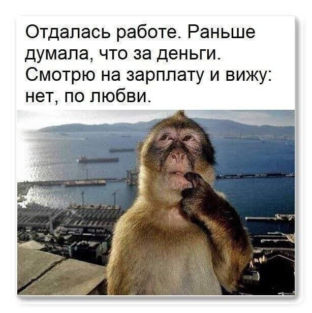 Не ищите здесь смысл. Здесь в основном маразм