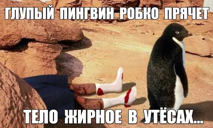 Продолжаем барражировать соцсети