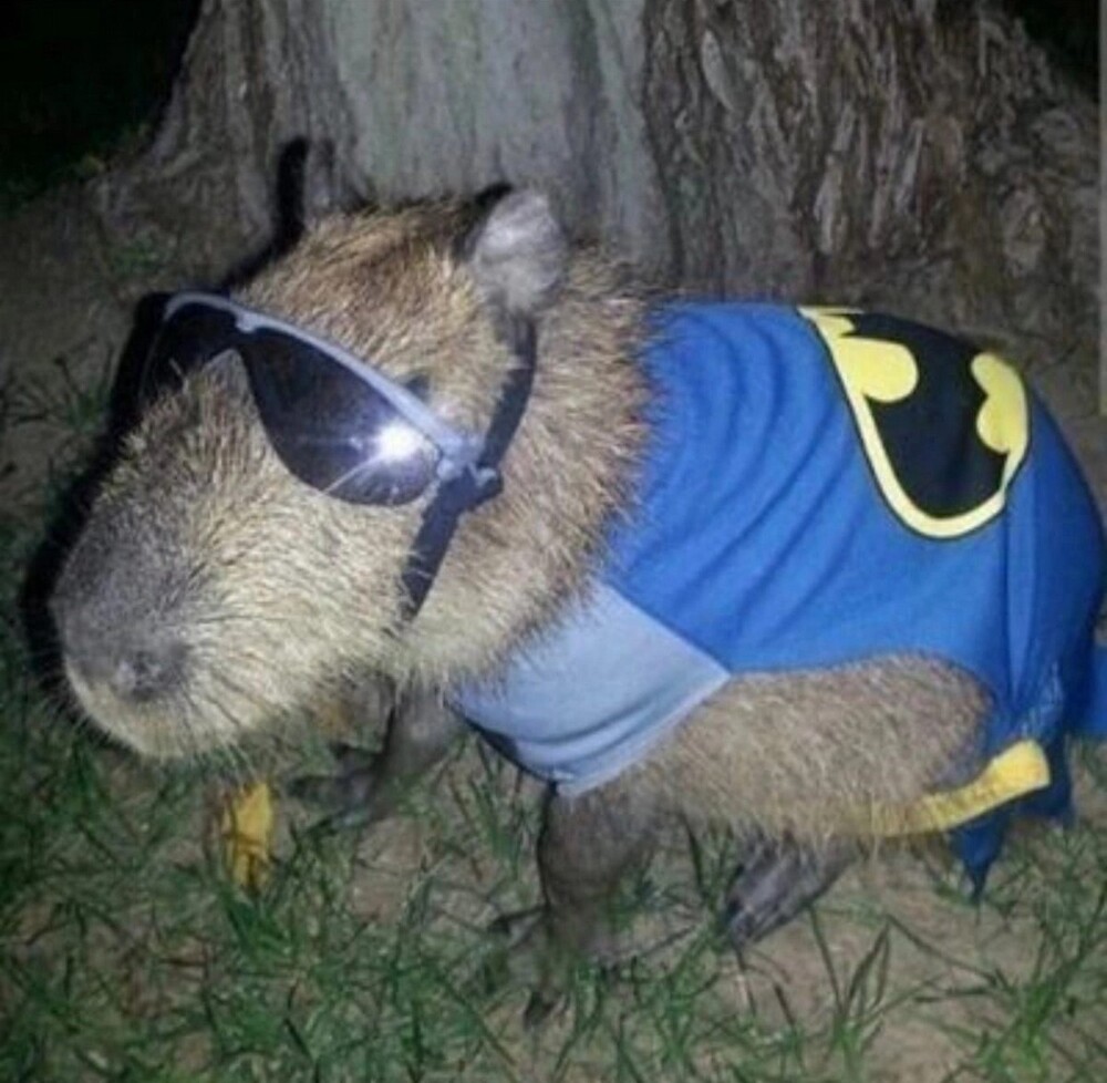 На общую тему 