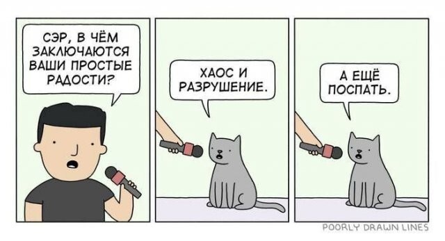 Скрины из соцсетей