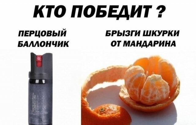 Скрины из соцсетей