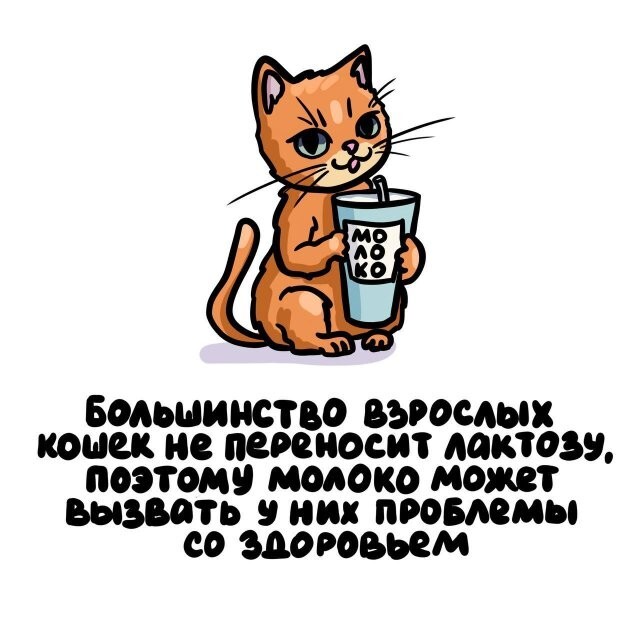 А вдруг ты не знал…