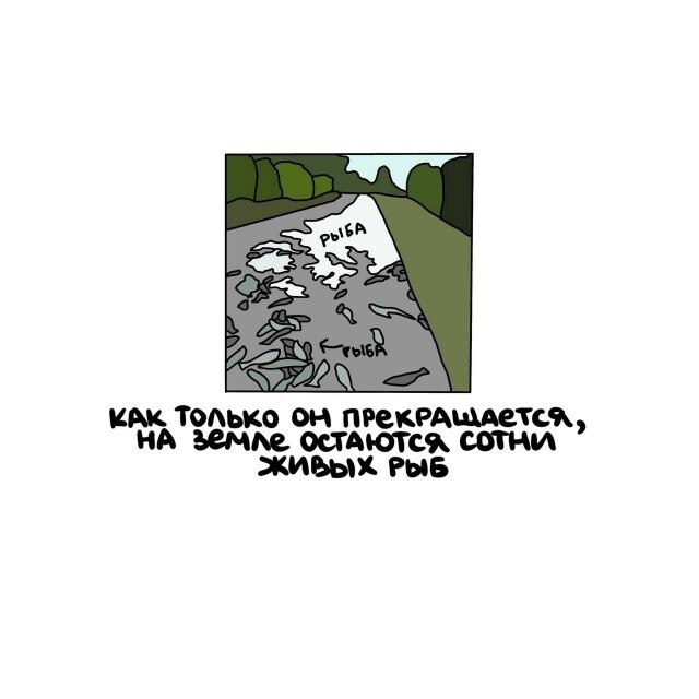 А вдруг ты не знал…