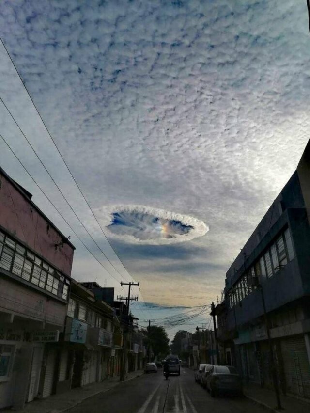 Намешалось