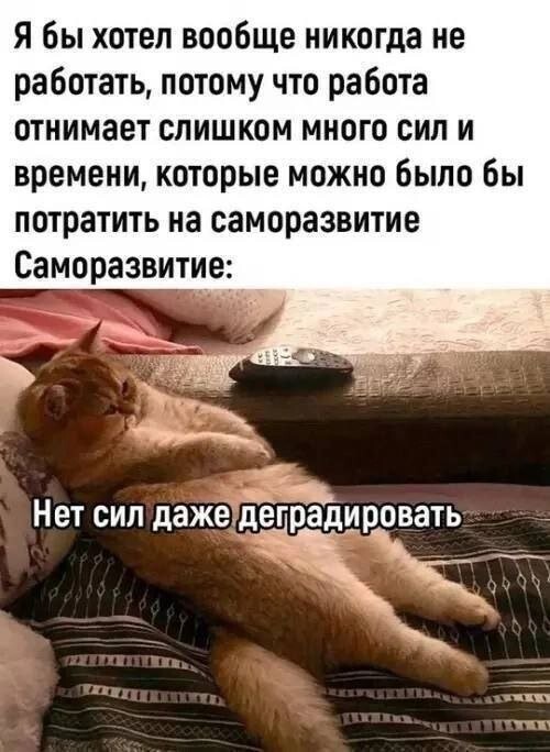 Не ищите здесь смысл. Здесь в основном маразм