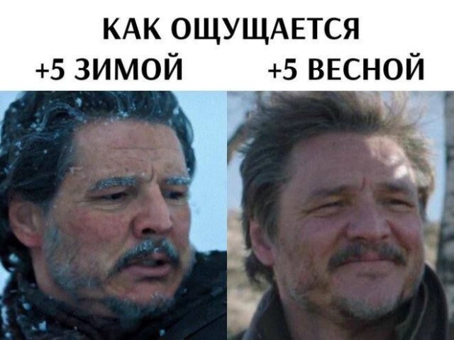 Не ищите здесь смысл. Здесь в основном маразм
