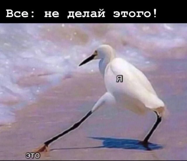 Не ищите здесь смысл. Здесь в основном маразм