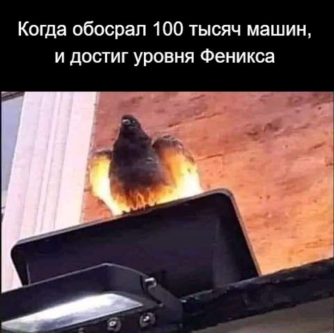 Продолжаем барражировать соцсети