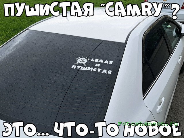 АвтоВсячина