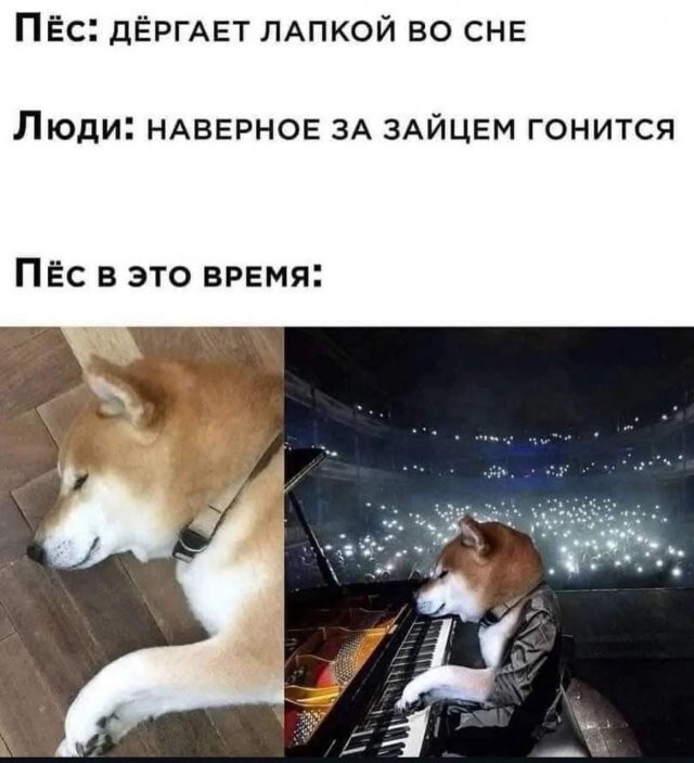 Скрины из соцсетей