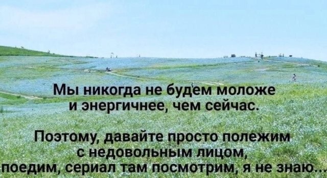 Скрины из соцсетей