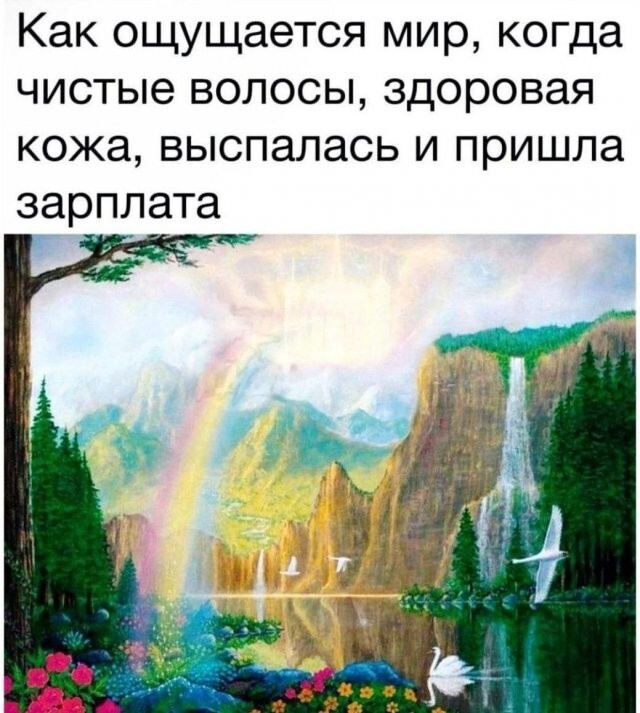 Скрины из соцсетей