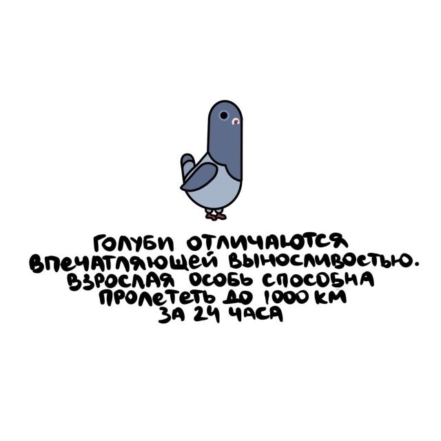 А вдруг ты не знал…