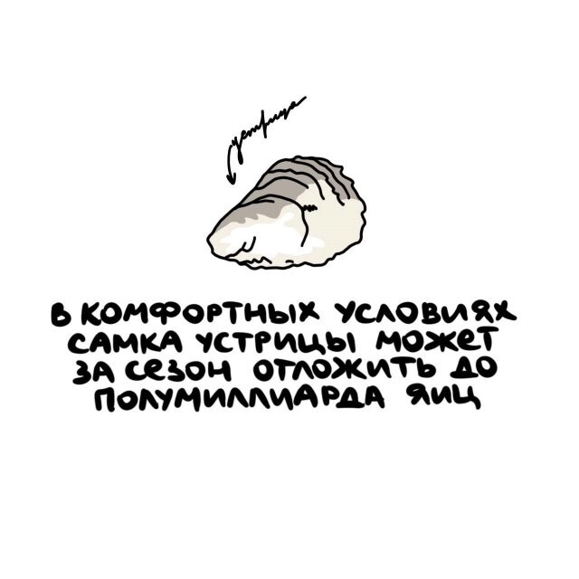А вдруг ты не знал…