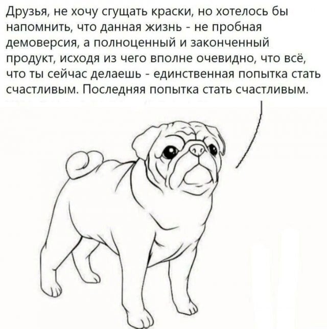 Не ищите здесь смысл. Здесь в основном маразм