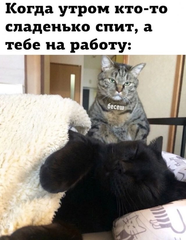 Не ищите здесь смысл. Здесь в основном маразм