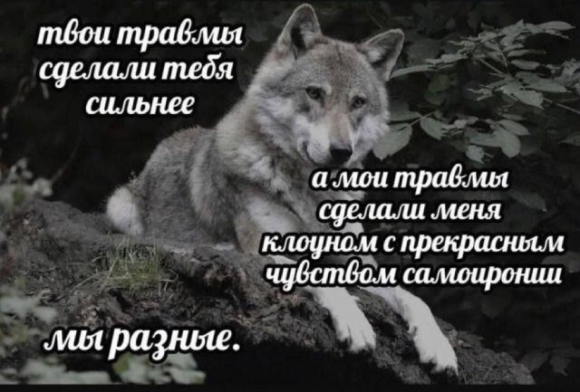 Не ищите здесь смысл. Здесь в основном маразм