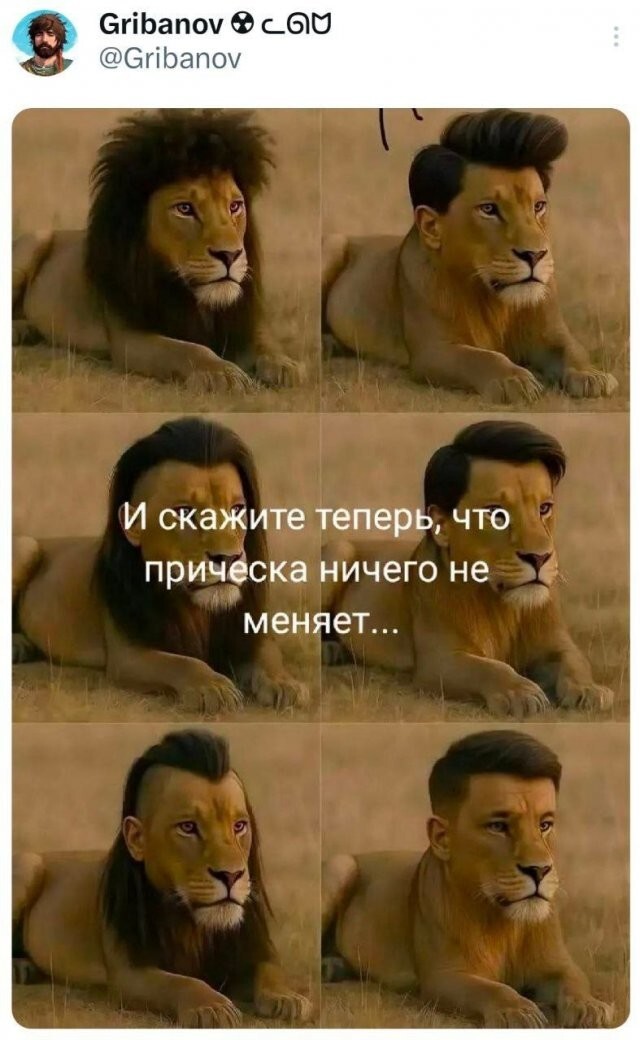 Не ищите здесь смысл. Здесь в основном маразм