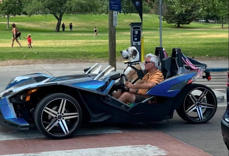 Всё вразнобой 