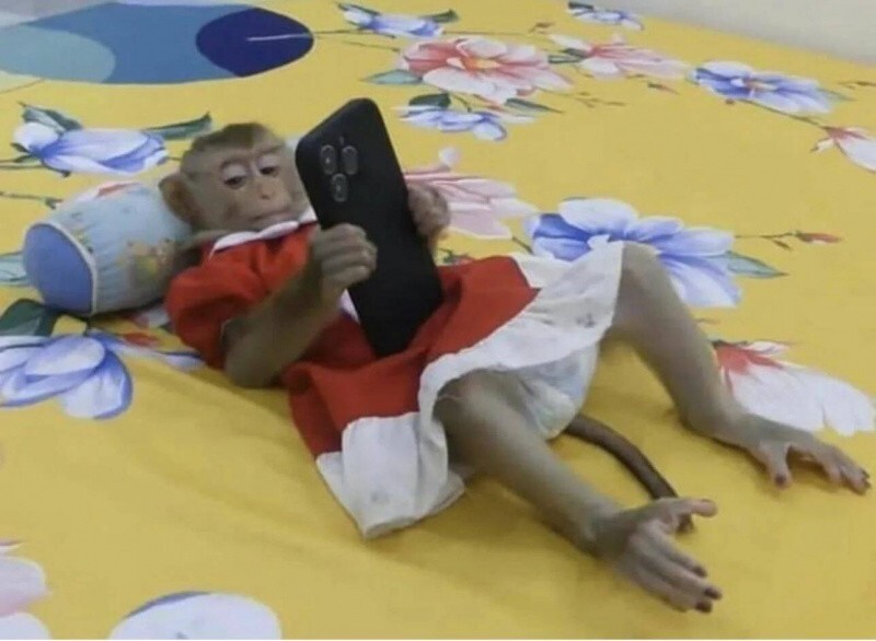 Всё вразнобой 