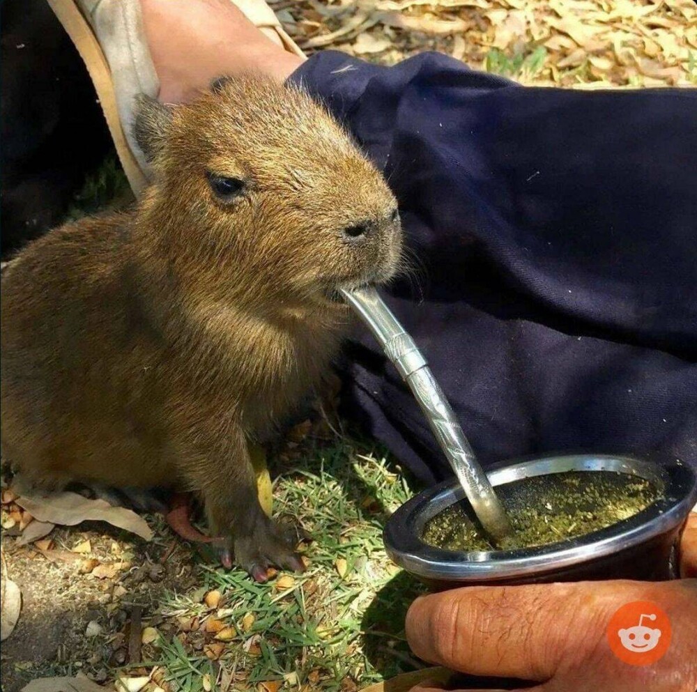 На общую тему 