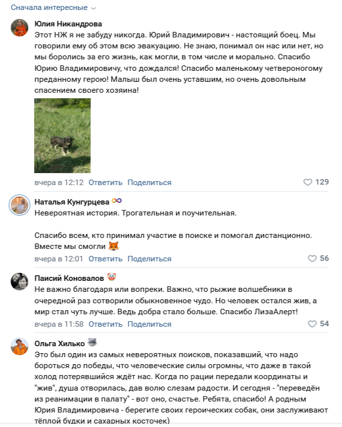 Собаки спасли пенсионера, блуждавшего 6 дней по лесу под Новосибирском