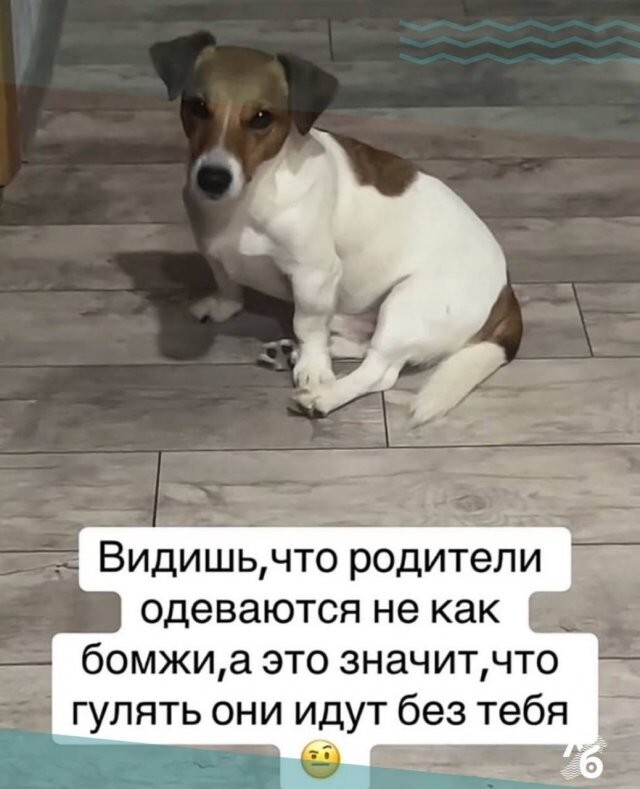 Скрины из соцсетей