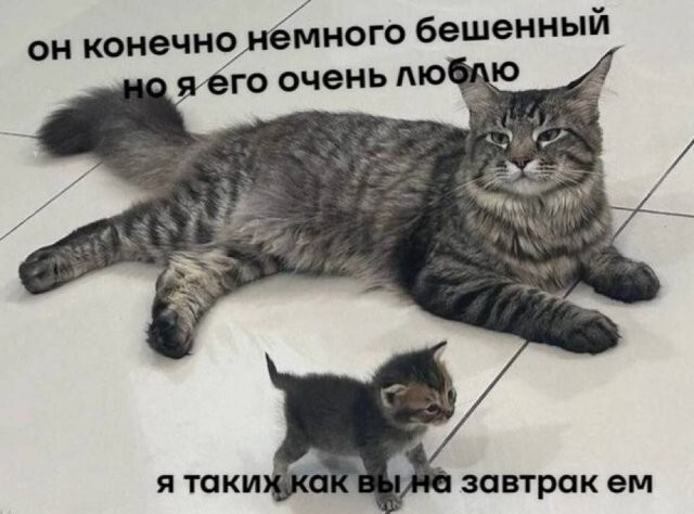 Скрины из соцсетей